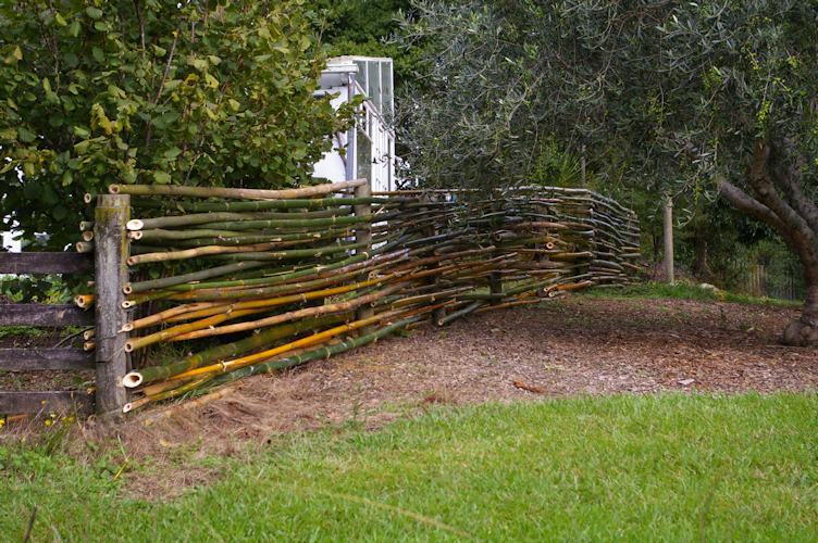 Bamboo Fence